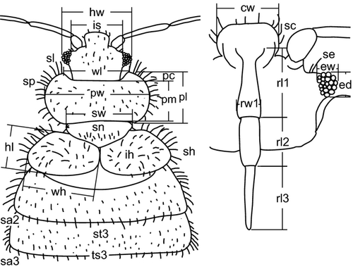 Details are in the caption following the image