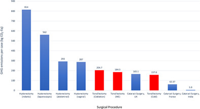 Environmental Impact of Adult Tonsillectomy: Life Cycle Assessment and Cost Comparison of Techniques