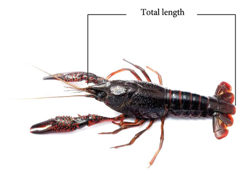 Details are in the caption following the image Details are in the caption following the image