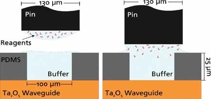 A Microwell Array Platform for Picoliter Membrane Protein Assays