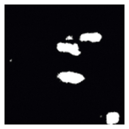 Details are in the caption following the image
