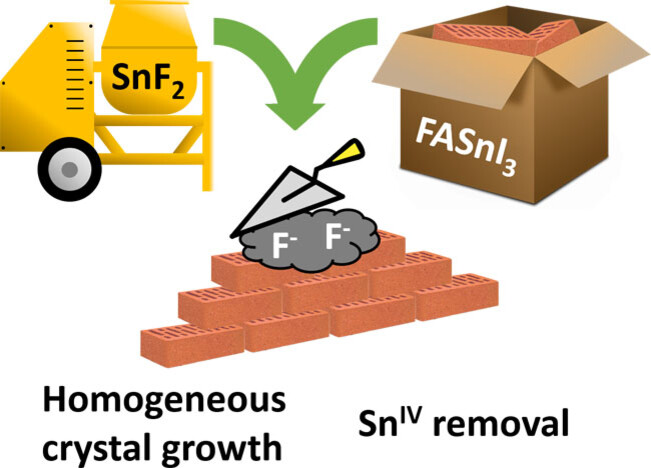 Fluoride Chemistry in Tin Halide Perovskites