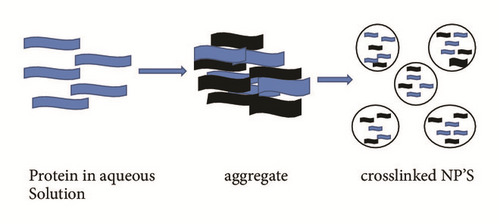 Details are in the caption following the image