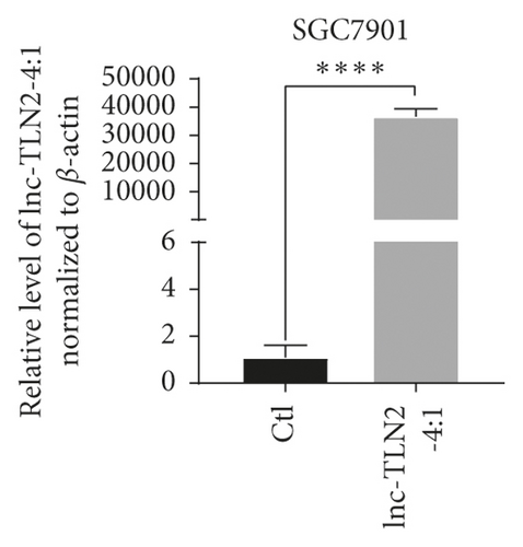 Details are in the caption following the image