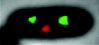 inline image