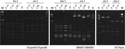 Details are in the caption following the image Details are in the caption following the image