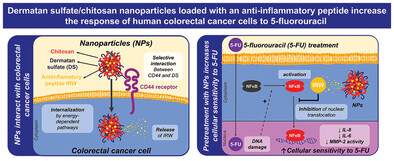 Dermatan Sulfate/Chitosan Nanoparticles Loaded with an Anti-Inflammatory Peptide Increase the Response of Human Colorectal Cancer Cells to 5-Fluorouracil