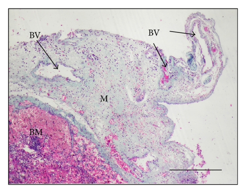 Details are in the caption following the image