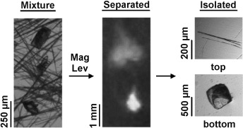 Using Magnetic Levitation to Separate Mixtures of Crystal Polymorphs