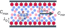 Nanofluidics for Giant Power Harvesting
