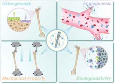 Bone tissue engineering for treating osteonecrosis of the femoral head