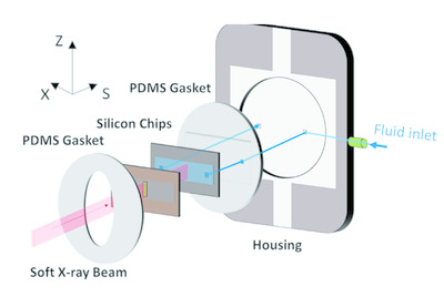 A microfluidic dosimetry cell to irradiate solutions with poorly penetrating radiations: a step towards online dosimetry for synchrotron beamlines