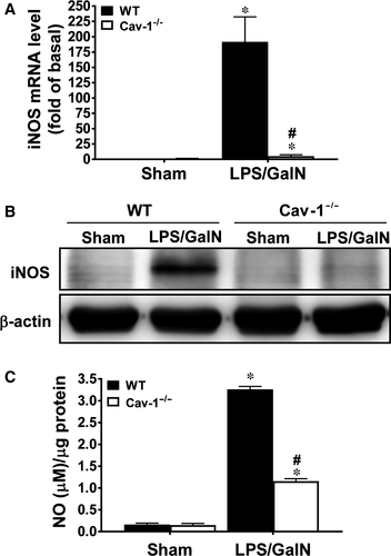 Details are in the caption following the image