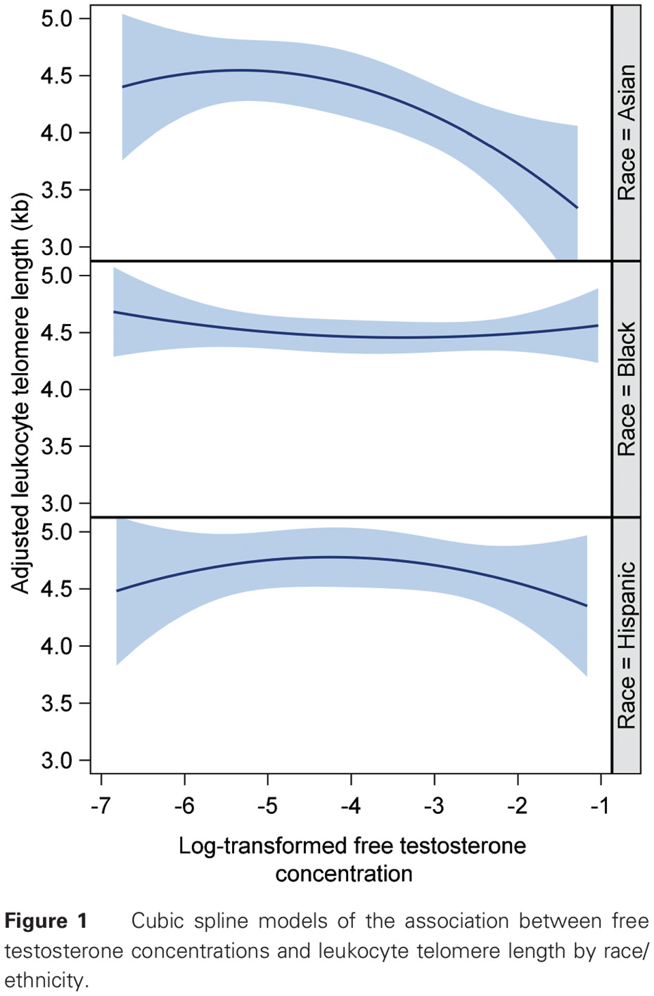 Relationships of sex hormone levels with leukocyte telomere length in Black, Hispanic, and Asian/Pacific Islander postmenopausal women