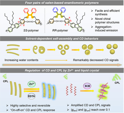 Multifaceted regulation of chiroptical properties and self-assembly behaviors of chiral fluorescent polymers Issue 6, 2024