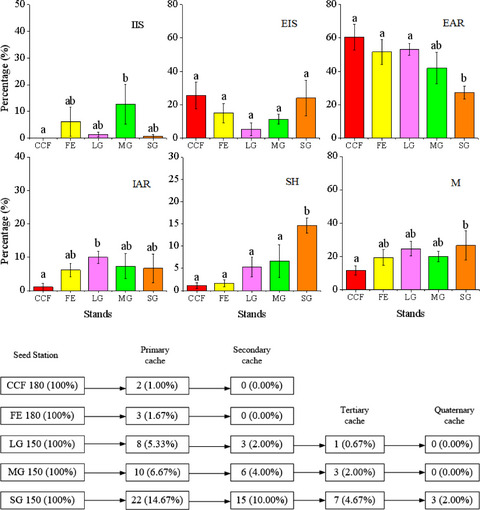 Rodent-mediated plant seed dispersal: What happens to the seeds after entering the gaps with different sizes?