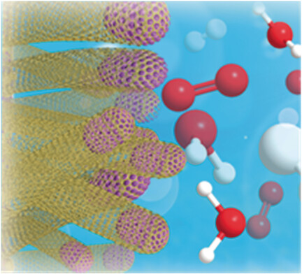 Three-Dimensional Hierarchical Architectures Derived from Surface-Mounted Metal–Organic Framework Membranes for Enhanced Electrocatalysis
