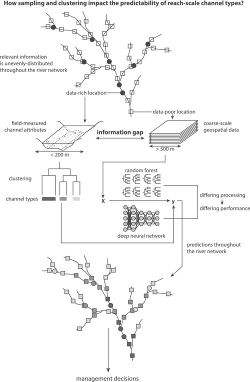 Mind the information gap: How sampling and clustering impact the predictability of reach-scale channel types in California (USA)