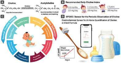 SPOOC (Sensor for Periodic Observation of Choline): An Integrated Lab-on-a-Spoon Platform for At-Home Quantification of Choline in Infant Formula