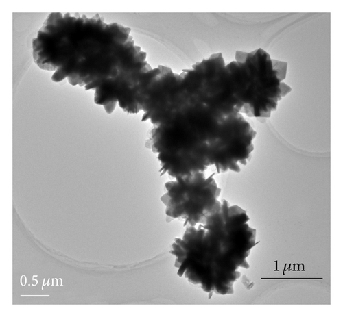 Details are in the caption following the image Details are in the caption following the image