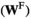 urn:x-wiley:1010061X:media:jeb13939:jeb13939-math-0139