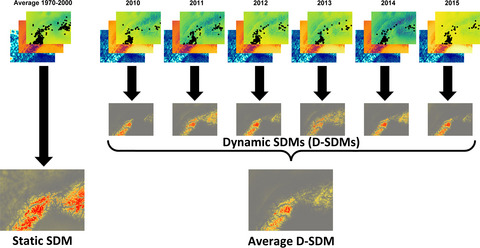 Integrating dynamic environmental predictors and species occurrences: Toward true dynamic species distribution models