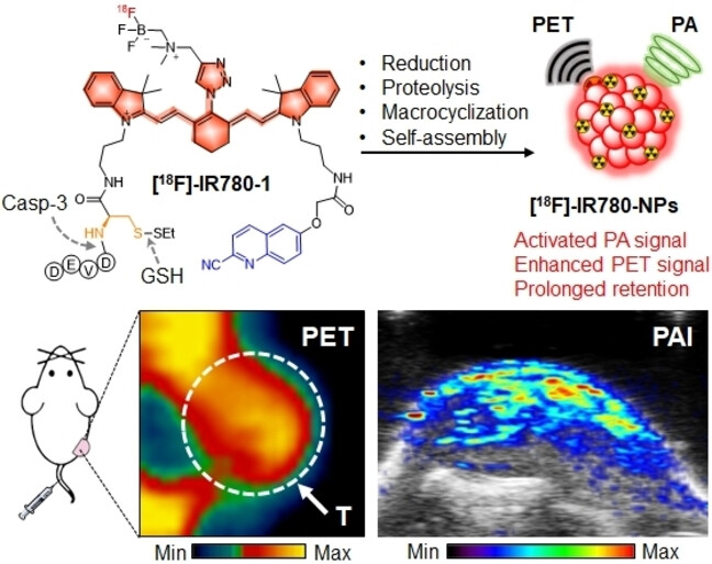 Tailoring a Near-Infrared Macrocyclization Scaffold Allows the Control of In Situ Self-Assembly for Photoacoustic/PET Bimodal Imaging