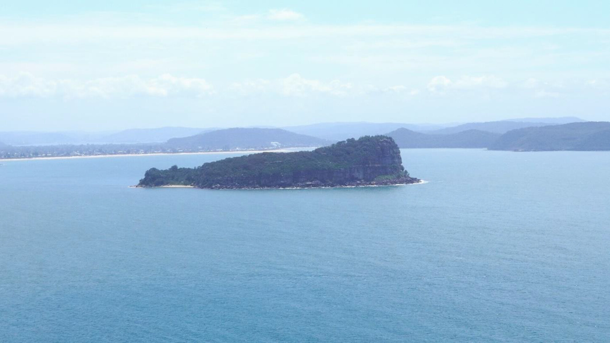 A-Islands: A Vascular Plant Dataset for Biodiversity Research and Species Monitoring on Australian Continental Islands