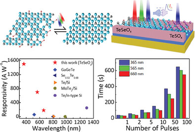 Bio-Inspired Photosensory Artificial Synapse Based on Functionalized Tellurium Multiropes for Neuromorphic Computing