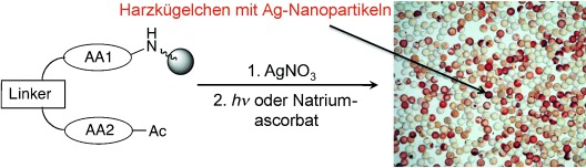 Silver Nanoparticle Formation in Different Sizes Induced by Peptides Identified within Split-and-Mix Libraries