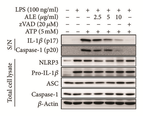 Details are in the caption following the image