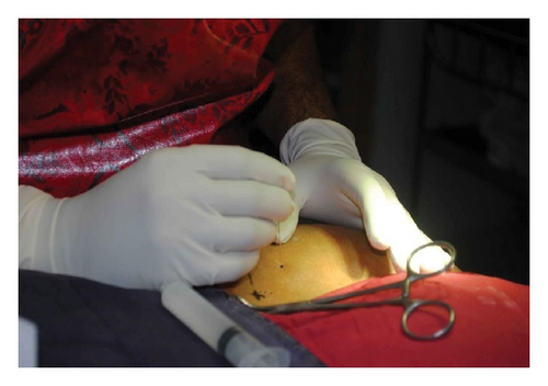 Details are in the caption following the image Details are in the caption following the image