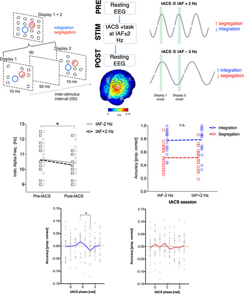 Testing the effect of tACS over parietal cortex in modulating endogenous alpha rhythm and temporal integration windows in visual perception