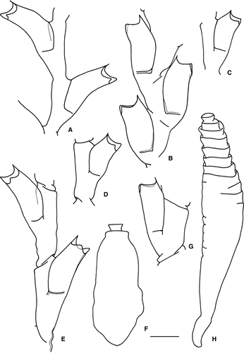 Details are in the caption following the image Details are in the caption following the image