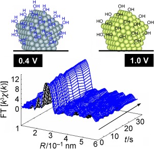 In Situ Time-Resolved Dynamic Surface Events on the Pt/C Cathode in a Fuel Cell under Operando Conditions