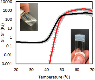 Polymer Architecture Effects on Poly(N,N-Diethyl Acrylamide)-b-Poly(Ethylene Glycol)-b-Poly(N,N-Diethyl Acrylamide) Thermoreversible Gels and Their Evaluation as a Healthcare Material