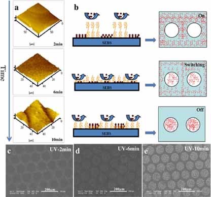 Patterning Surfaces for Controlled Platelet Adhesion and Detection of Dysfunctional Platelets