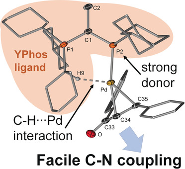 A Highly Active Ylide-Functionalized Phosphine for Palladium-Catalyzed Aminations of Aryl Chlorides