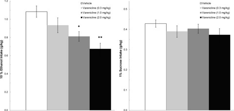 The Effects of Long-Term Varenicline Administration on Ethanol and Sucrose Seeking and Self-Administration in Male P Rats