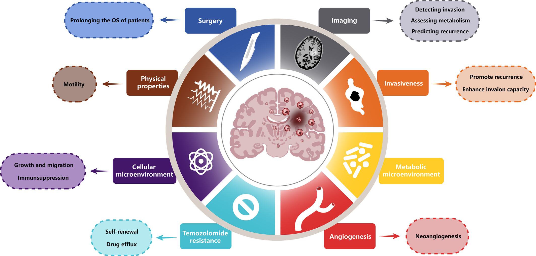 Malignant Cells Beyond the Tumor Core: The Non-Negligible Factor to Overcome the Refractory of Glioblastoma