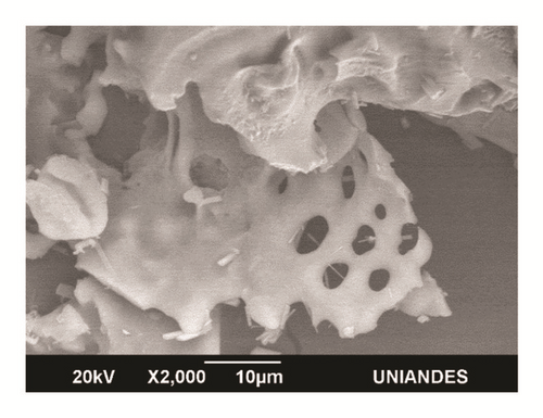 Details are in the caption following the image