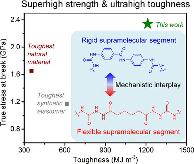 Development of Tough Thermoplastic Elastomers by Leveraging Rigid–Flexible Supramolecular Segment Interplays