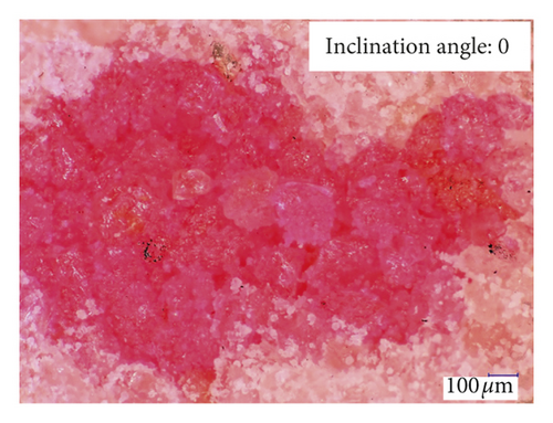 Details are in the caption following the image