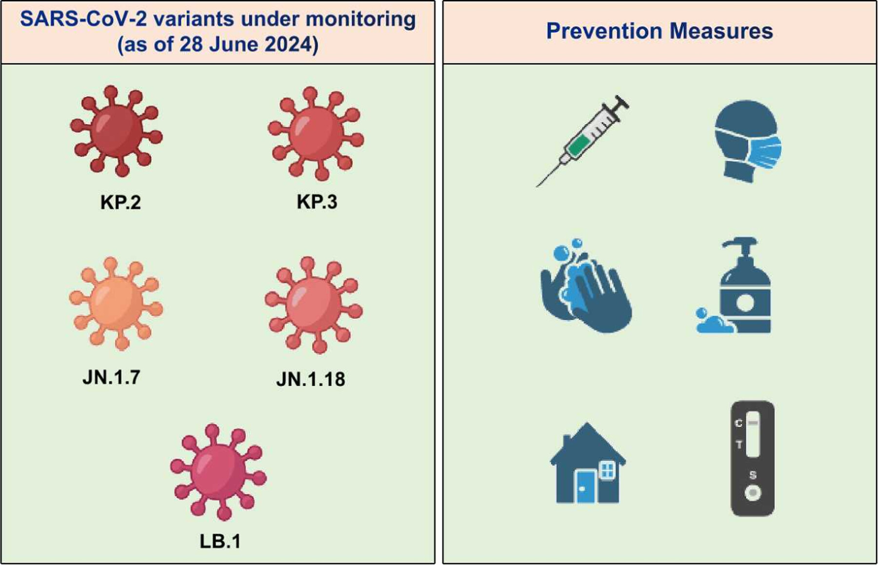 Emergence of SARS-CoV-2 variants KP.2 and KP.3 sparks concerns: What should we do? Issue 4, 2024