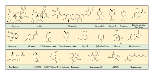 Details are in the caption following the image Details are in the caption following the image