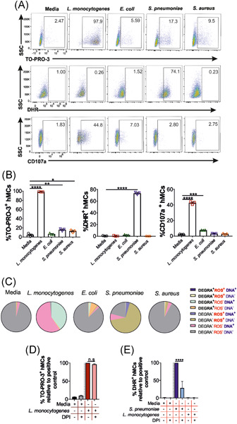 Human mast cells exhibit an individualized pattern of antimicrobial responses
