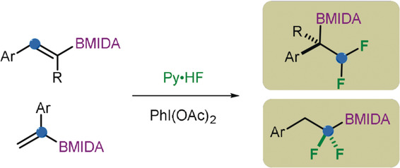 gem-Difluorination of Alkenyl N-methyliminodiacetyl Boronates: Synthesis of α- and β-Difluorinated Alkylborons