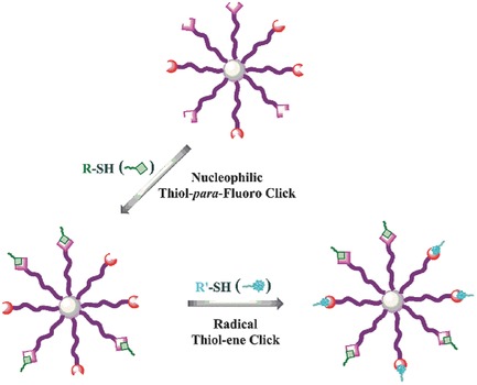 Heterofunctionalized Multiarm Star Polymers via Sequential Thiol-para-Fluoro and Thiol-Ene Double “Click” Reactions