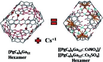 Entrapment of Elusive Guests within Metal-Seamed Nanocapsules