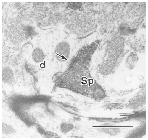 Details are in the caption following the image